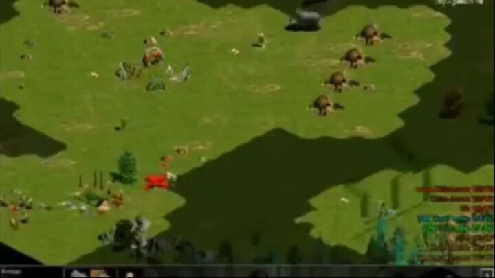 Voi con ở bản đôn =))