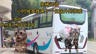 很多海外福建人回福建祭祖的背后是一段心酸的过往。。。