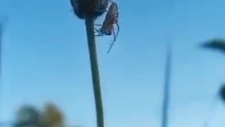 Happy New Year 2026! 🎉