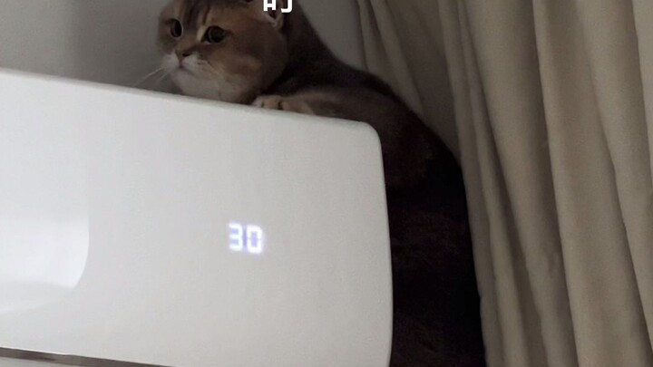 Don't come near me, I'm scared.