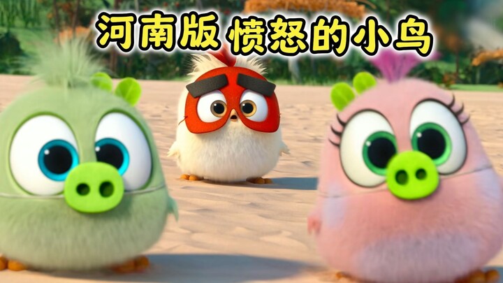 Henan’s Little Bird