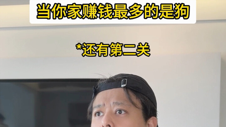 เมื่อคนที่หาเงินให้บ้านคุณได้มากที่สุดกลับเป็นหมา
