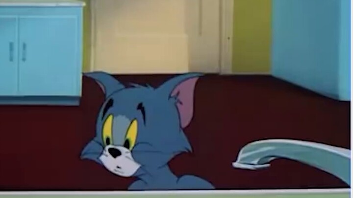 I went to bed at 5:20 and played cat and mouse at 13:14 [Remake]