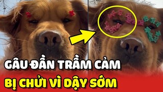 Bé GÂU ĐẦN bị con Sen chửi LÊN BỜ XUỐNG RUỘNG vì dậy lúc 5 GIỜ SÁNG 😂 | Yêu Lu