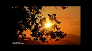 SIMPLY BEAUTIFUL Relaxing Piano Music / Instrumental Love Songs