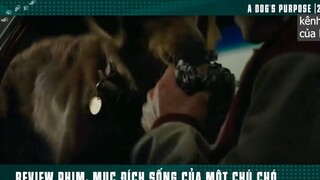 làm mai mối giúp ông chủ p2 #kenhcuaban