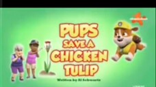 Paw Patrol Musim 8 Episode 12 Bahasa Indonesia Vision+