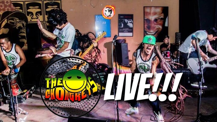 THE CHONGKEYS LIVE!!!