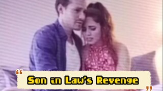 Son in Law's Revenge/ Uncut Story