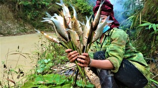 Món Cá Đốt Bờ Ao Ẩm Thực Mùa Cấy/Hoàng Việt Tây Bắc
