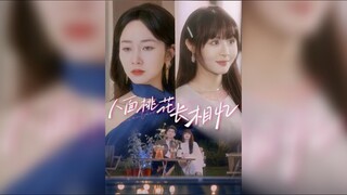 《人面桃花长相忆》Peach Blossoms Look Like a Memory | Ai HongChen , Ye YiChen , Meng JiaXin & Wang MoHan