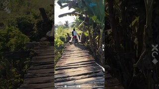 Aksi Pro Wanita Ini Bawa Motor di Jembatan Kayu, Temannya Malah Panik Heboh Sendiri