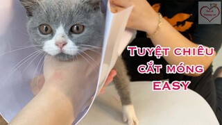 Hướng dẫn làm giá treo mèo - Tuyệt chiêu cắt móng Easy