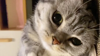 Baby, you must believe that mommy still loves you!