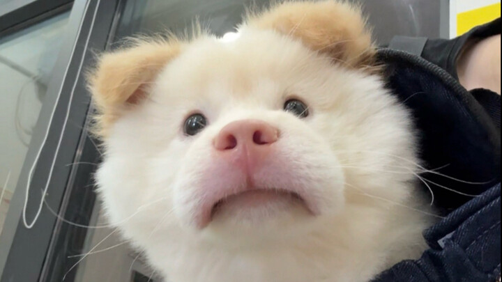 ถู่ซง | ความกล้าฉีดยาของฉันมันผิดไปหมดเลย