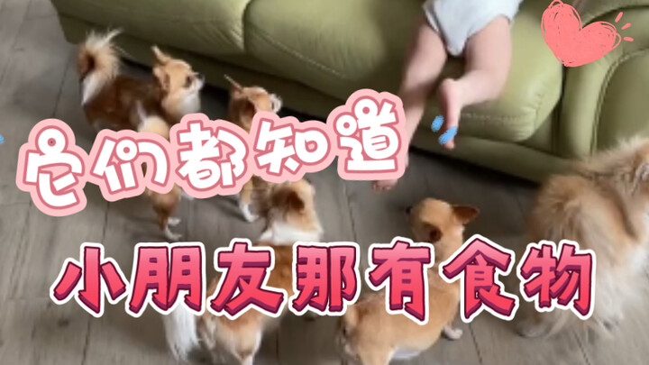 They all know the kids have food.