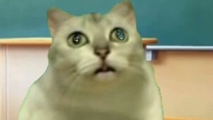 【Cat meme】My dad came to my class in police uniform to guard the evening study