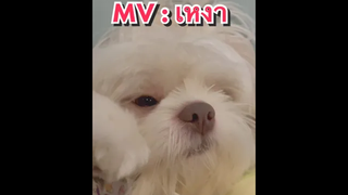 พี่ช่วยปลอบดีจัง555