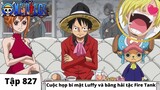 One Piece Tập 827 | Cuộc họp bí mật Luffy và băng hải tặc Fire Tank | Đảo Hải Tặc Tóm Tắt Anime