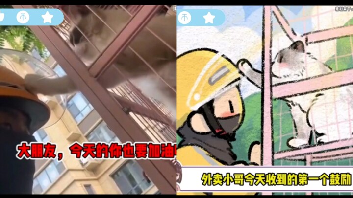 Chú mèo đáng yêu đã khẽ chạm vào anh shipper, cuối cùng anh ấy còn mua luôn chú mèo về nhà