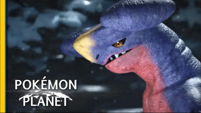 [Subtitel Bahasa Mandarin] Pokémon Planet: Garchomp: Garchomp