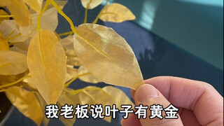 树叶真能抵工资吗