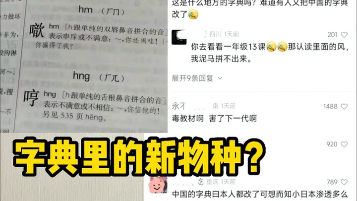 hm hng, why does the dictionary have this kind of pinyin?