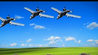 Migration and predation of T34