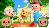 This is the Way (Doggy Care Version) CoComelon Nursery Rhymes & Kids Songs