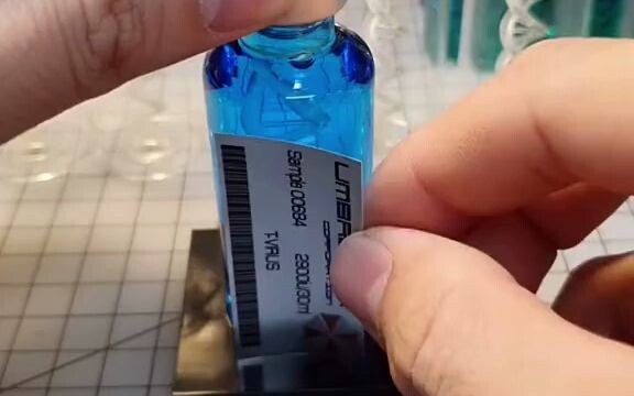 Dibuang di pinggir jalan, tak ada yang berani mengambilnya