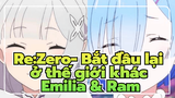 Re:Zero- Bắt đầu lại ở thế giới khác
Emilia & Ram