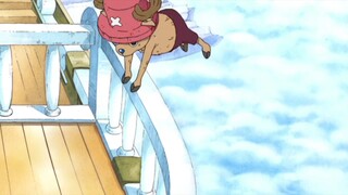 Cute moments #1 - Chopper! 😻😁