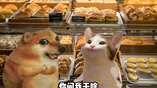 女朋友希望的VS我实际说的