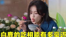 白鹿的吃相能有多豪迈:噘嘴吃木头蘸粉条那叫个香!孟子义看呆了