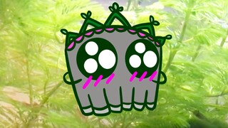 I raised many beautiful... fatal fishes?