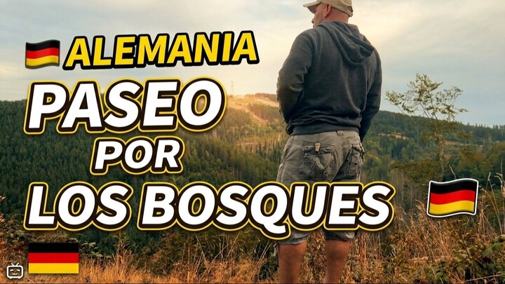 Caminata por los bosques de Alemania