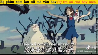 Sự trà thù của bầy mèo