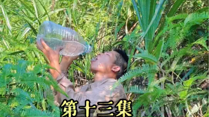 Menemukan Sumber Kehidupan di Tengah Rimbunnya Gulma