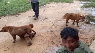 Theo chân thợ săn mông cộc đỏ, chó mông đỏ. Gặp bác chỉ nhà vui tính.