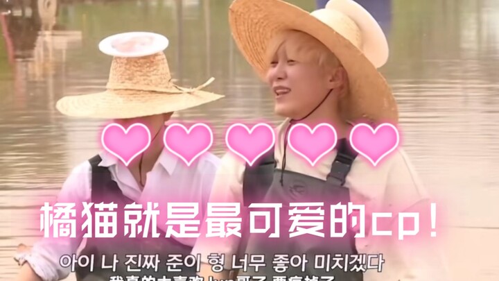 【จุนกวาน | แมวส้ม】ฟูเซิงกวานป่วยเป็นโรคประหลาดที่แม้แต่การทะเลาะกับเวินจวิ้นฮุยก็ยังรู้สึกมีความสุข 