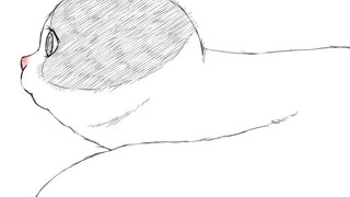 Assassin Cat Strips 😺