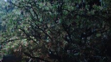 🇨🇳Ep.24 - Love In The Clouds (2025) Eng Sub