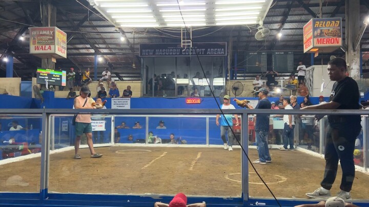 4Stag Derby Nasugbu Cockpit Arena White Choco Win