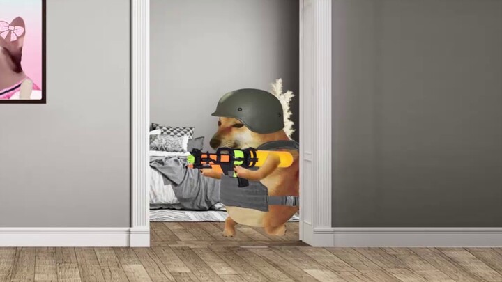 Take your boyfriend! Thank you