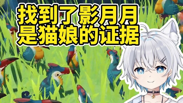 So this is how Ying Yueyue unwinds after finishing a guide? No wonder she’s a catgirl!