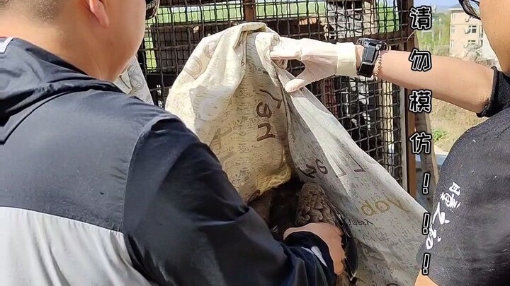 Cứu một thằng ngốc rồi nó quấn lấy cổ mình......