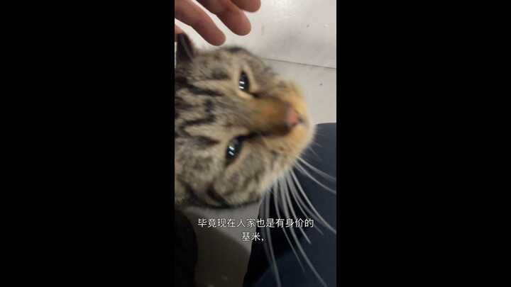 Working a regular job? No way—now he’s the boss!
