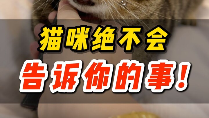 ดูแล้วน้ำตาไหล😭 เรื่องที่แมวไม่มีวันบอกคุณ❗