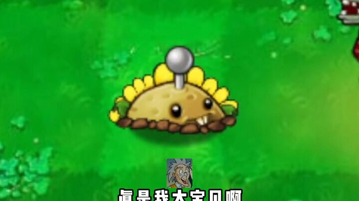 有眼不识土豆雷