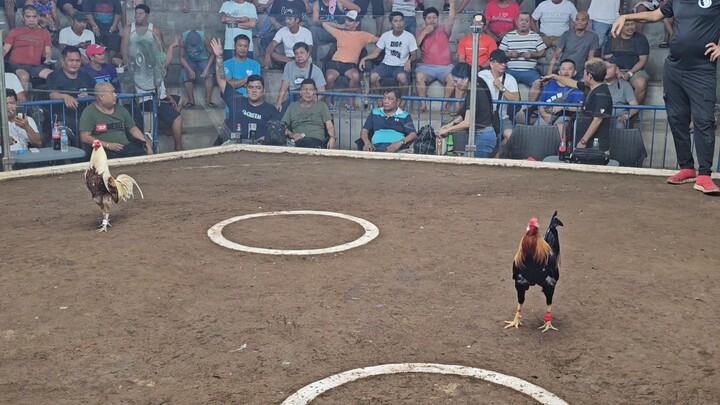 2nd fight Win